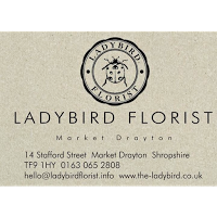 Ladybird Florist 1067982 Image 2